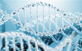 3D 과학, 나선형 DNA