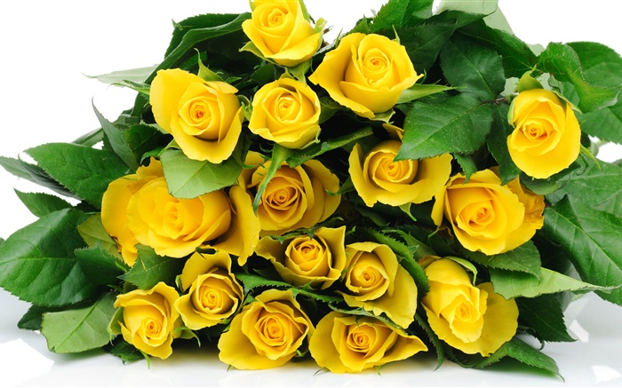 꽃다발 노란색 장미 꽃 배경 화면 그림
