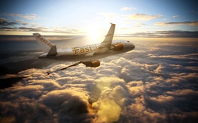 에어 버스 A300 항공기, 하늘, 구름, 태양 광선 HD 배경 화면