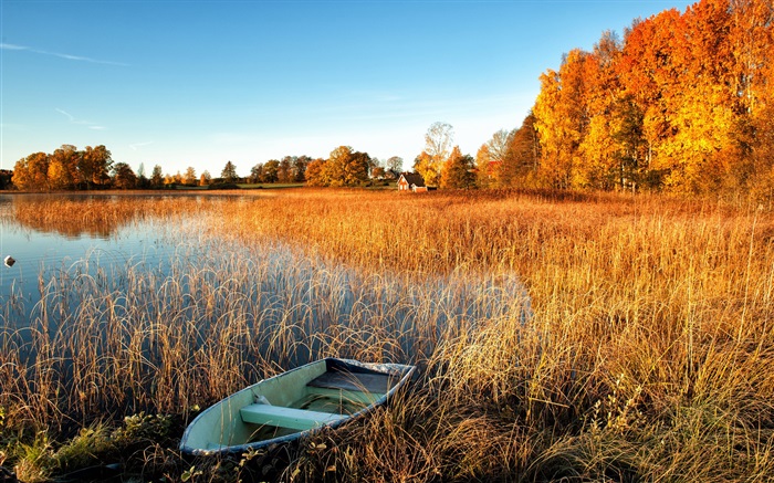 가을, 호수, 잔디, 보트, 나무, 집 배경 화면 그림