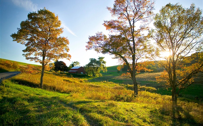 가을, 나무, 잔디, 태양 광선, 집 배경 화면 그림