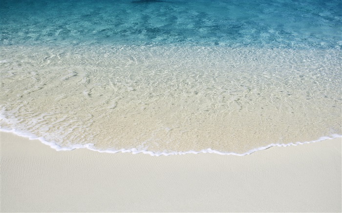해변, 파도, 푸른 배경 화면 그림