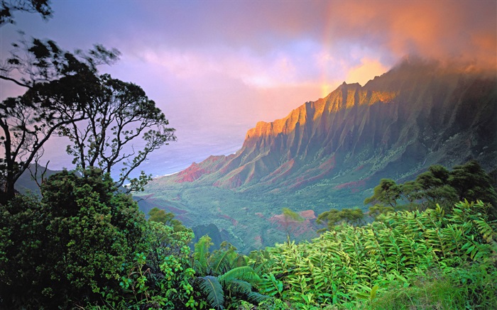 아름 다운 풍경, 산, 일출, 미국 배경 화면 그림
