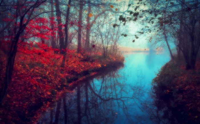 아름 다운 자연 풍경, 가을, 강, 나무, 단풍 배경 화면 그림