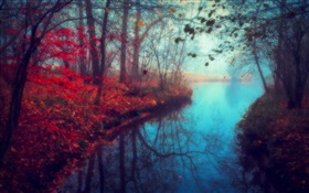 아름 다운 자연 풍경, 가을, 강, 나무, 단풍 HD 배경 화면