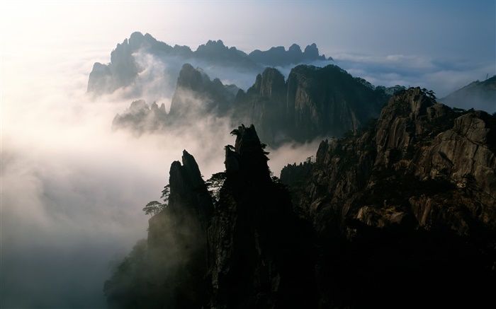 중국, 산, 안개, 새벽 배경 화면 그림