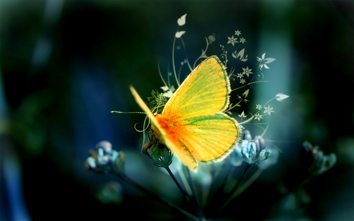 창조적 인 디자인, 노랑 나비 배경 화면 그림