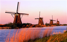 네덜란드 풍경, 풍차, 강, 저녁 HD 배경 화면