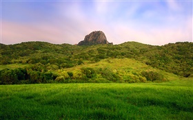언덕, 녹색, 필드 HD 배경 화면