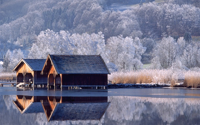 하우스, 강, 나무, 겨울, 독일 배경 화면 그림