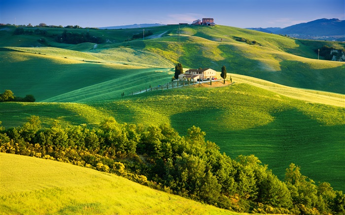 이탈리아, 녹색 필드, 아름다운 풍경 배경 화면 그림