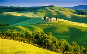이탈리아, 녹색 필드, 아름다운 풍경 HD 배경 화면
