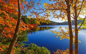 호수, 나무, 숲, 푸른 하늘, 가을