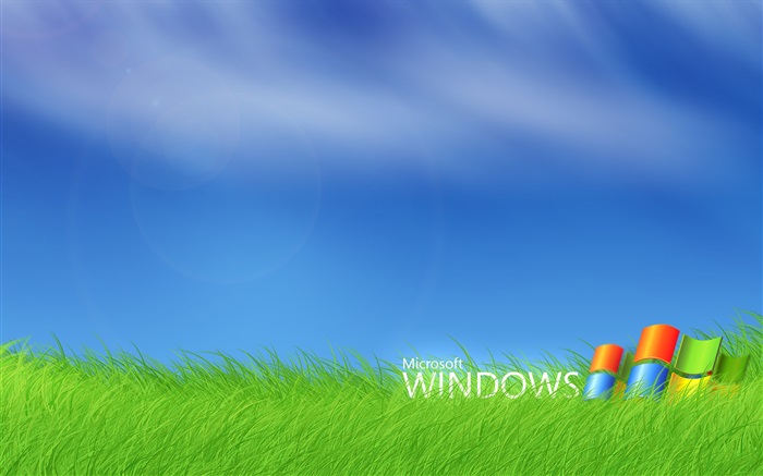 잔디에 마이크로 소프트 윈도우 로고 배경 화면 그림