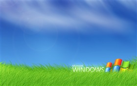 잔디에 마이크로 소프트 윈도우 로고 HD 배경 화면