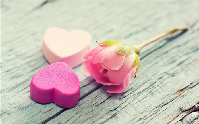 핑크 장미와 하트 모양의 사랑 배경 화면 그림