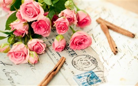 핑크 장미 꽃, 편지