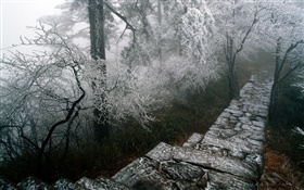 빙과 풍경, 나무, 겨울, 눈, 풍경 중국 HD 배경 화면