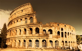 로마의 콜로세움 HD 배경 화면