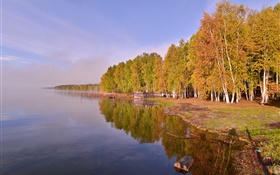 러시아, 바이칼 호수, 나무 HD 배경 화면