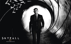 007 스카이 폴 영화 와이드 스크린 HD 배경 화면