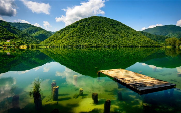 여름, 녹색, 호수, 산 배경 화면 그림