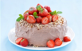 타로 딸기 케이크 HD 배경 화면