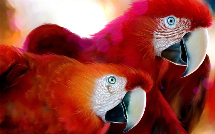 두 개의 빨간색 깃털 앵무새 배경 화면 그림