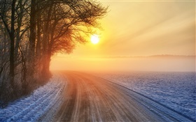 겨울 일출, 도로, 안개, 나무 HD 배경 화면