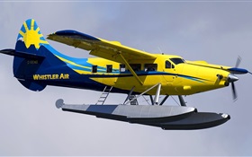 노란색 수륙 양용 비행기