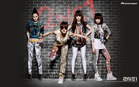 2NE1, 한국 음악 소녀 02 HD 배경 화면
