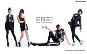 2NE1, 한국 음악 소녀 03