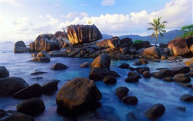 안세 솔레, 마헤, 세이셸, 돌, 해안 HD 배경 화면
