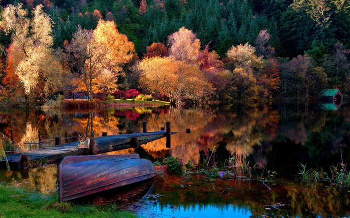 가을, 나무, 부두, 보트, 호수, 물 반사 배경 화면 그림