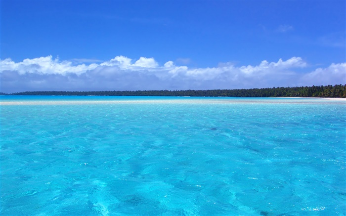 블루 해안 풍경, 야자수, 해변 배경 화면 그림