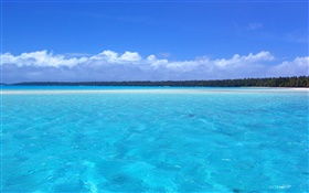 블루 해안 풍경, 야자수, 해변 HD 배경 화면