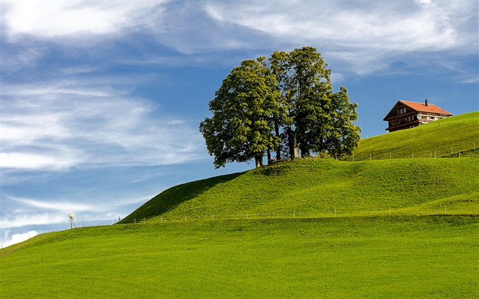 푸른 하늘, 잔디, 나무, 집, 언덕, 아인지 델른, 슈비츠, 스위스 배경 화면 그림