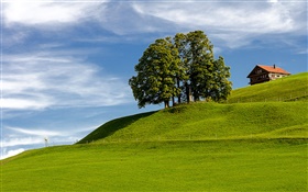 푸른 하늘, 잔디, 나무, 집, 언덕, 아인지 델른, 슈비츠, 스위스 HD 배경 화면