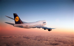보잉 747 항공기, 하늘, 황혼 HD 배경 화면