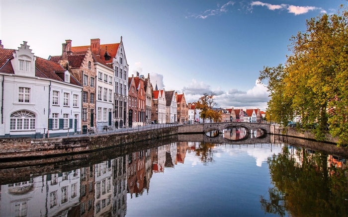브뤼셀, 벨기에, 주택, 강, 다리, 나무, 가을 배경 화면 그림