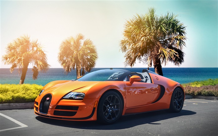 부가티 Veyron를 hypercar 오렌지 초차 배경 화면 그림
