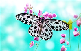 나비와 보라색 꽃 HD 배경 화면