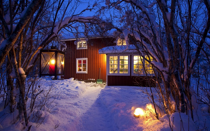 국가 오두막, 눈 덮인 나무, 스웨덴, 밤, 조명 배경 화면 그림
