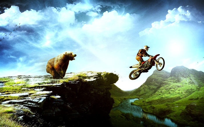크리 에이 티브 사진, 곰 추적 오토바이 배경 화면 그림
