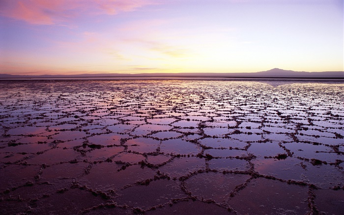 죽은 바다, 아름다운 황혼의 풍경 배경 화면 그림