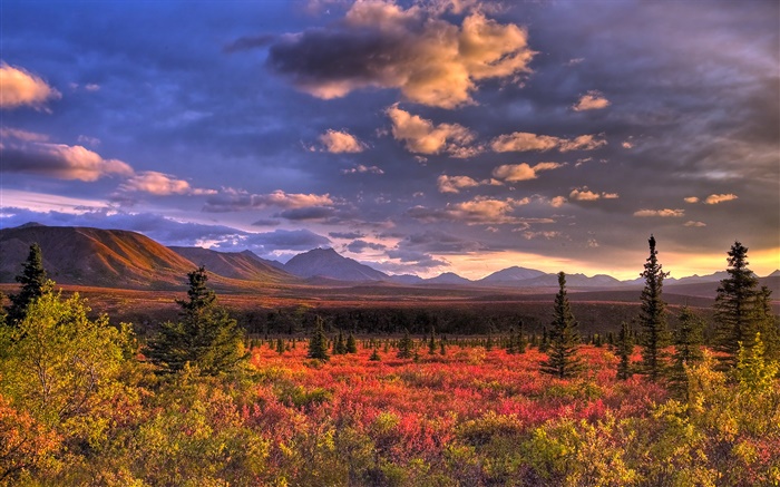 데날리 국립 공원, 알래스카, 미국, 구름, 황혼, 잔디 배경 화면 그림