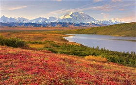 데날리 국립 공원, 알래스카, 미국, 잔디, 호수, 산 HD 배경 화면