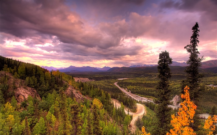 데날리 국립 공원, 알래스카, 미국, 길, 나무, 구름 배경 화면 그림