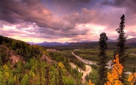 데날리 국립 공원, 알래스카, 미국, 길, 나무, 구름 HD 배경 화면