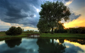 황혼, 나무, 잔디, 물 반사, 일몰 HD 배경 화면